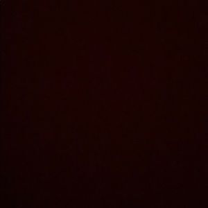 Meet your Posher, Alonzo